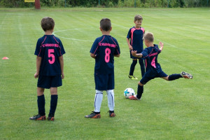 Utkání legend FC Vlachovo Březí - AC Sparta Praha