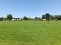 IMG-20230603-WA0007